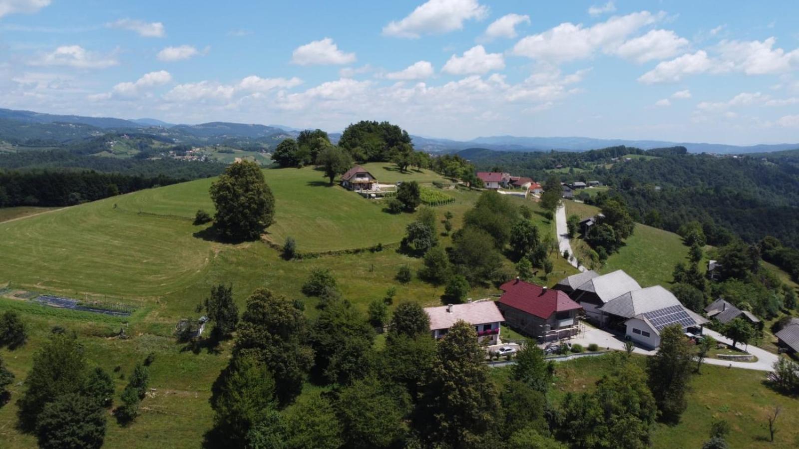 Zerko Holiday Home - Vineyard Chalet With Sauna And Jacuzzi Free Mirna Exterior photo